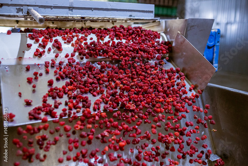 Obraz na płótnie Ripe sweet raspberry fruits cascade like a