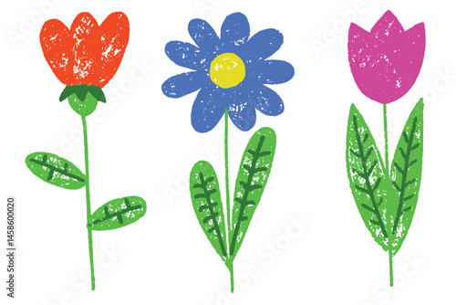 Crayon flowers vector illustration. Pastel and colored pencil hand drawn kids painting on white background. Cute daisy plants sketch. Children floral art