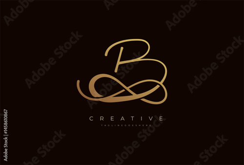 Letter B calligraphy Logo, Luxury letter B with infinity icon combination, vector illustration