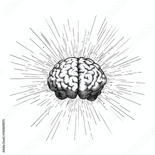Hand Drawn Human Brain Burst Vector Illustration Detailed Medical Artwork