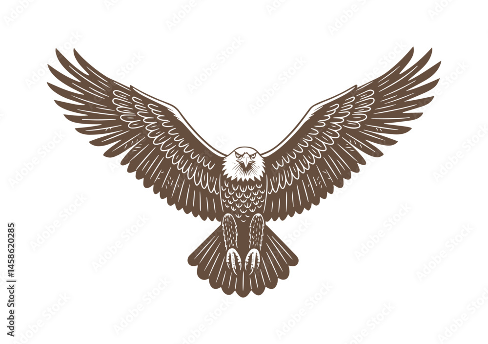 Obraz premium Bald eagle soaring in air monochrome illustration. Isolated, vector of eagle engraving style