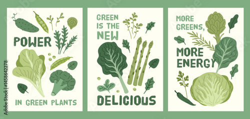 Salad green cards. Healthy food banners design, green fresh vegetables and herbs, cabbage heads, lettuce leaves, broccoli, beans and cabbage, detox vegan products, garish vector doodle set