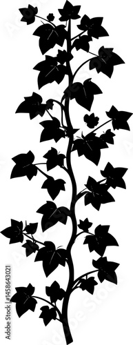 Vertical ivy plant branch silhouette vector art illustration
