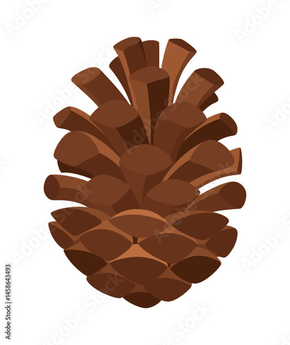 Fir or pine cone. Nature decoration symbol, forest sign. Isolated on white background. Set hand drawn coniferous cone. Colored vector illustration