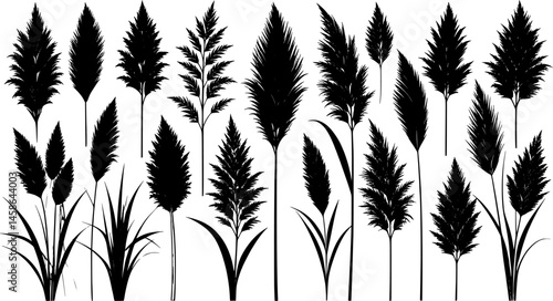 set of pampas grass silhouette design vector art illustration.
