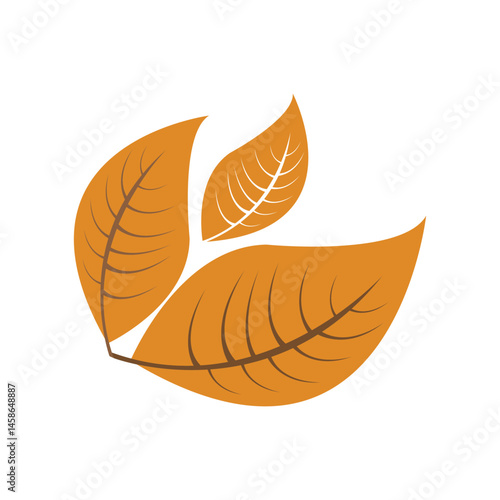 Tobacco leaf logo Icon,Vector logo for natural tobacco 