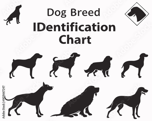 Dog Breed Identification Chart Silhouettes of 8 Popular Canine Breeds Easy Guide for Dog Lovers Owners