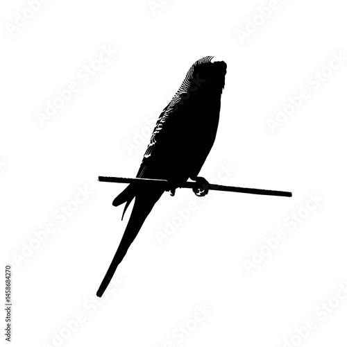 Solid black silhouette of a budgie cheerful, Vector Graphic