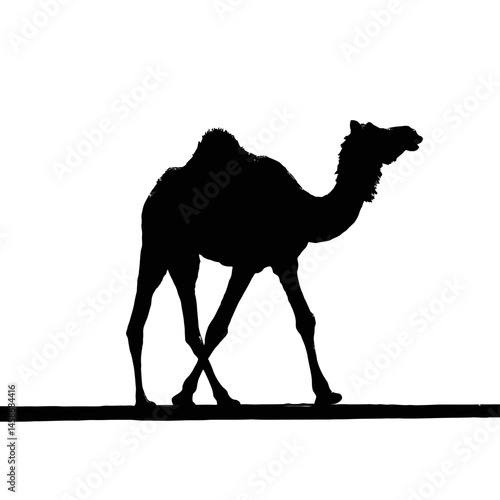 Solid black silhouette of a camel walking, Vector Graphic