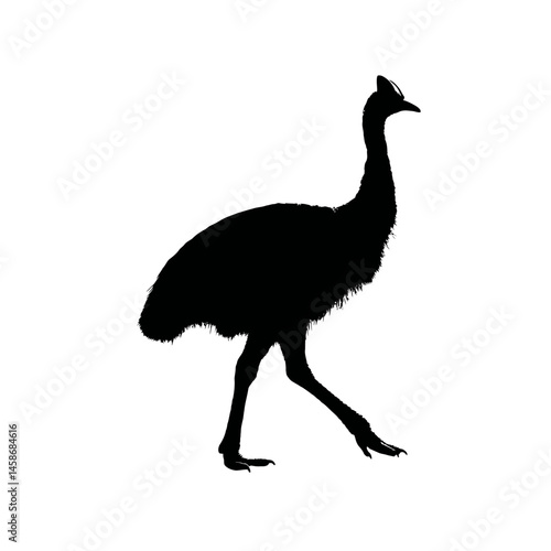 Solid black silhouette of a cassowary striding, Vector Graphic