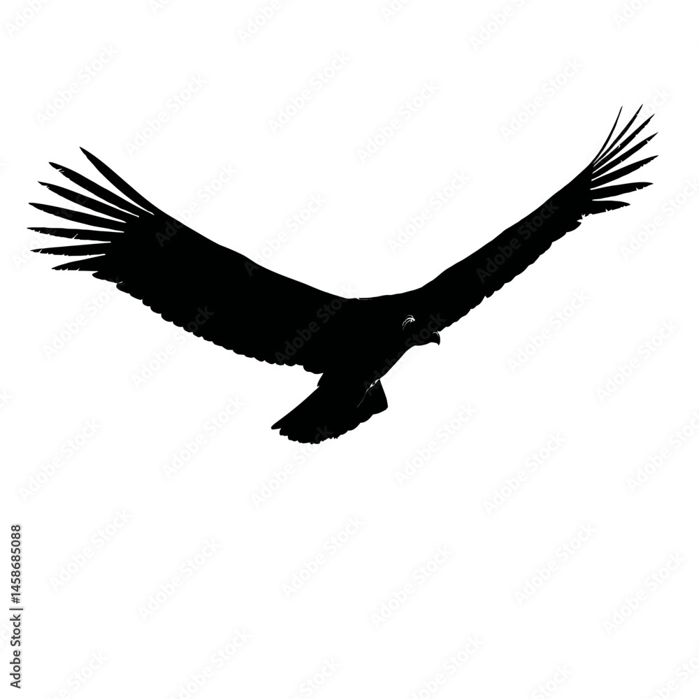 Naklejka premium Solid black silhouette of a condor soaring, Vector Graphic