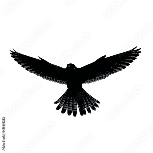Solid black silhouette of a kestrel hovering, Vector Graphic