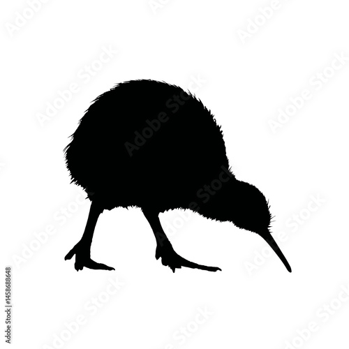 Solid black silhouette of a kiwi foraging, Vector Graphic