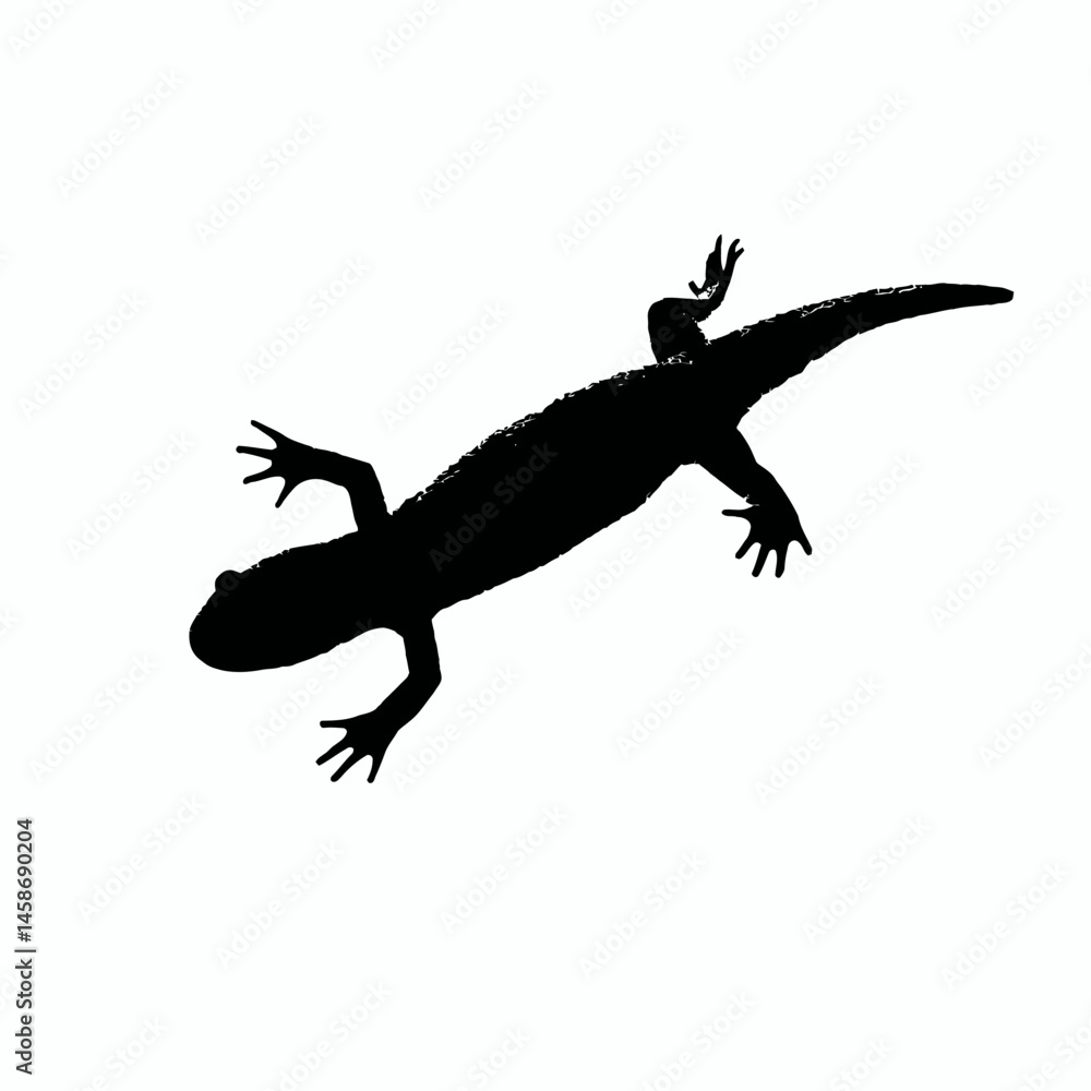 Fototapeta premium Solid black silhouette of a newt swimming, Vector Graphic
