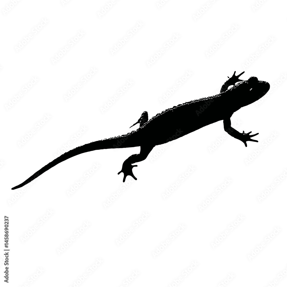 Naklejka premium Solid black silhouette of a newt swimming, Vector Graphic