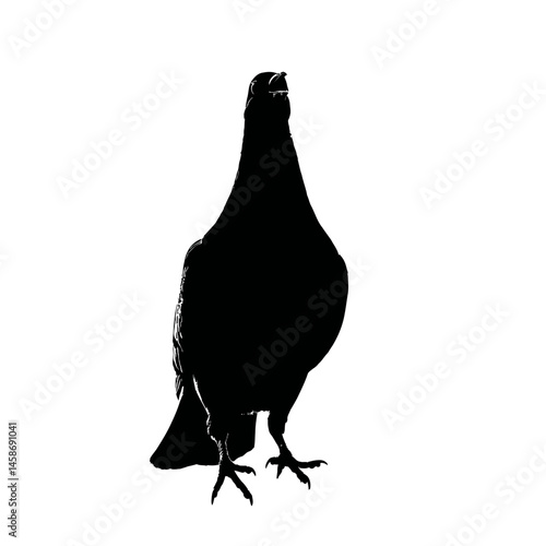 Solid black silhouette of a pigeon cooing, Vector Graphic