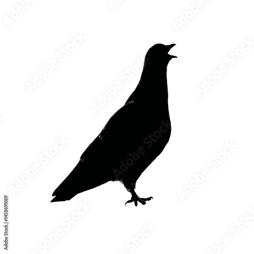 Solid black silhouette of a pigeon cooing, Vector Graphic