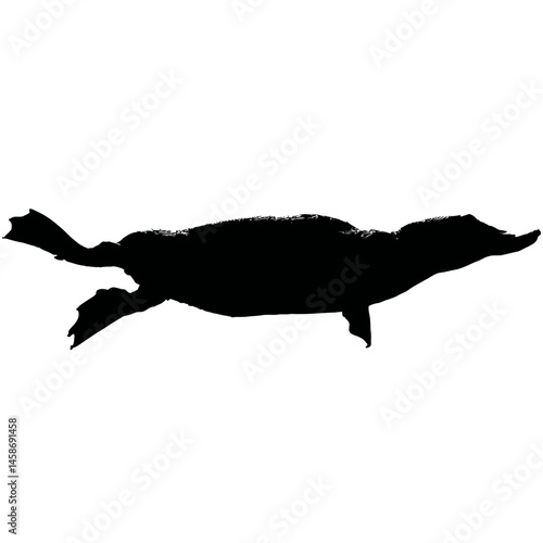 Solid black silhouette of a platypus swimming, Vector Graphic