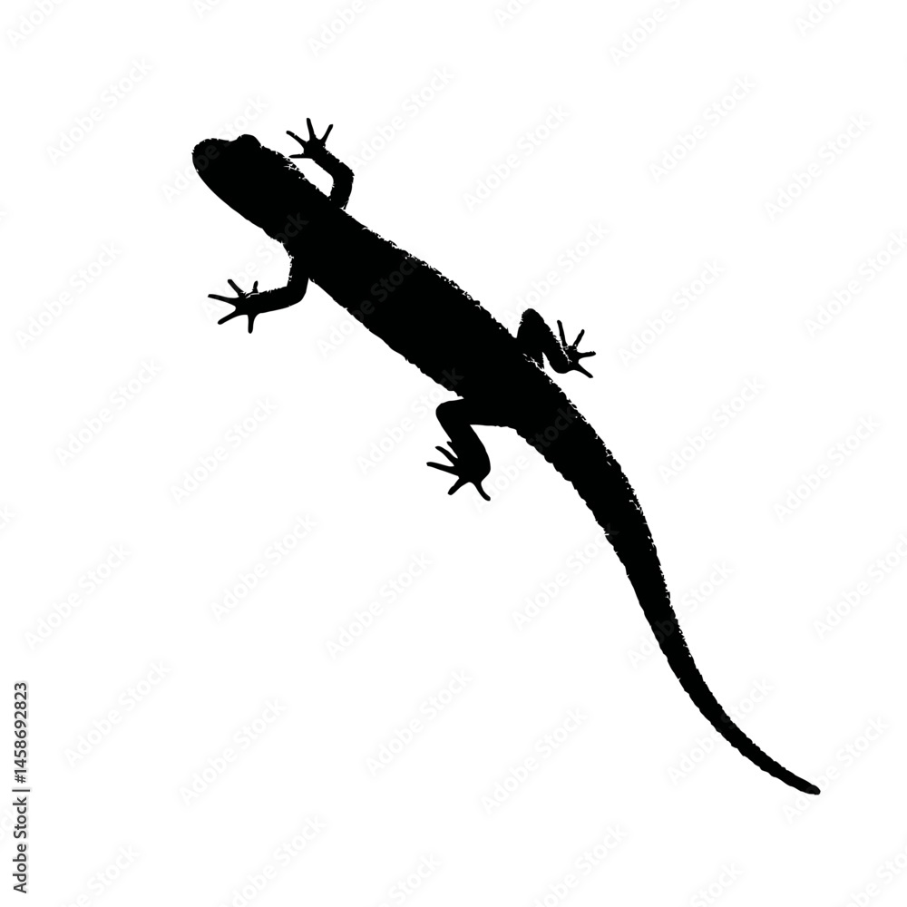 Naklejka premium Solid black silhouette of a salamander crawling, Vector Graphic