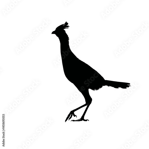 Solid black silhouette of a secretary bird stomping, Vector Graphic