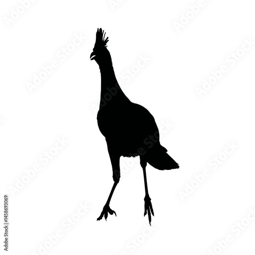 Solid black silhouette of a secretary bird stomping, Vector Graphic