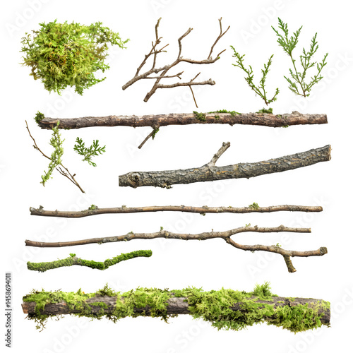 Large beautiful Set of moss covered sticks and branches isolated on white background transparent, branches , 3D isolated transparent background