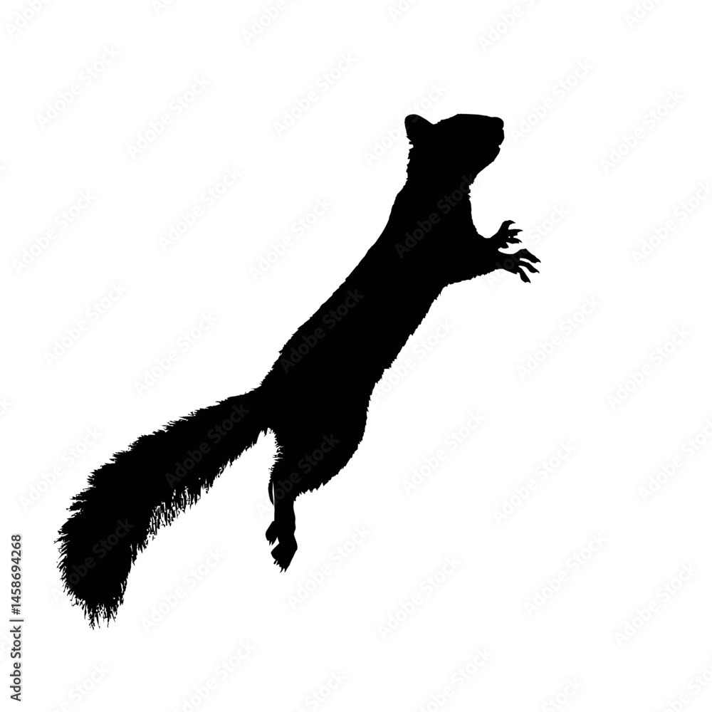 Solid black silhouette of a squirrel climbing, Vector Graphic Solid black silhouette of a squirrel climbing, Vector Graphic