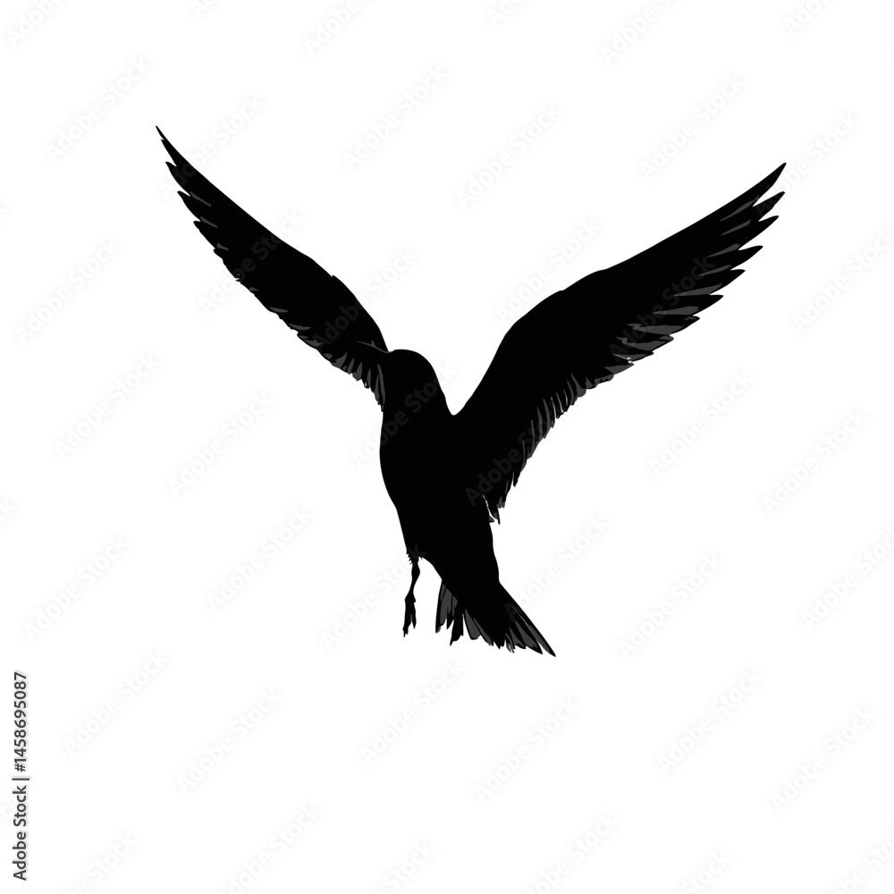 Obraz premium Solid black silhouette of a tern diving, Vector Graphic