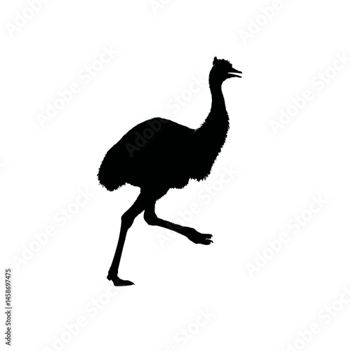 Solid black silhouette of an emu running, Vector Graphic