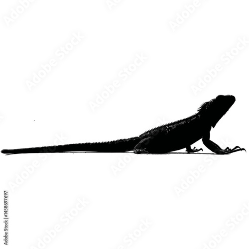 Solid black silhouette of an iguana basking, Vector Graphic