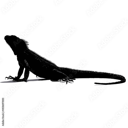 Solid black silhouette of an iguana basking, Vector Graphic