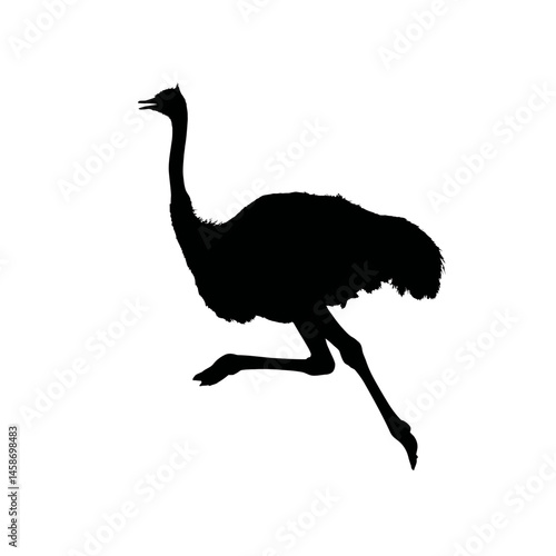 xSolid black silhouette of an ostrich sprinting, Vector Graphic