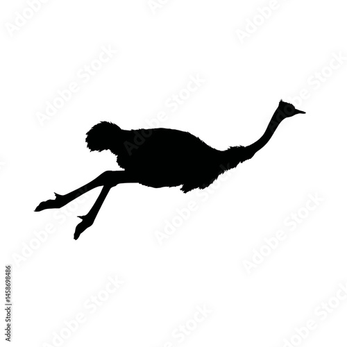 xSolid black silhouette of an ostrich sprinting, Vector Graphic
