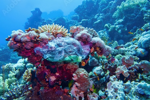 Photography Tropical coral reef with hard coral diversity polluted with plastic rubbish
