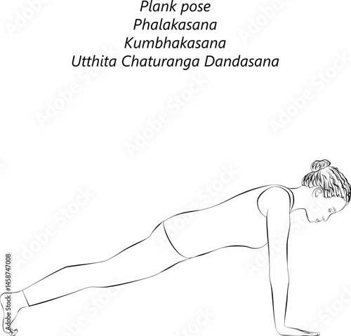 Sketch of young woman practicing Phalakasana yoga pose. Plank yoga pose. Kumbhakasana pose. Intermediate Difficulty. Isolated vector illustration.