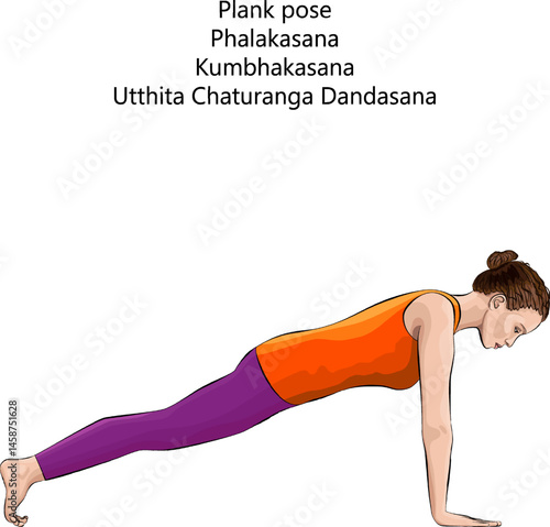 Young woman practicing Phalakasana yoga pose. Plank yoga pose. Kumbhakasana pose. Intermediate Difficulty. Isolated vector illustration.