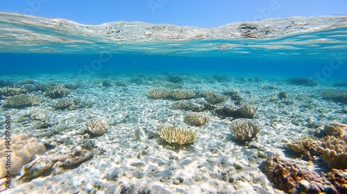 Pristine coral reef, shallow water. Sunlight penetrates clear turquoise water