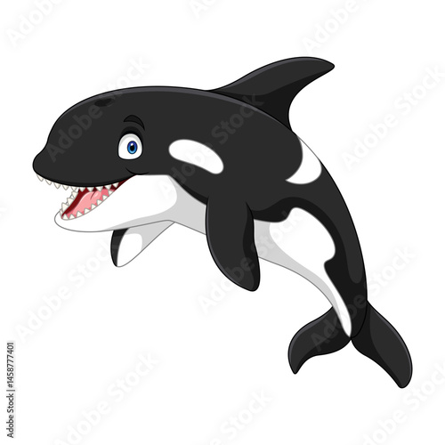 Cartoon killer whale on white background