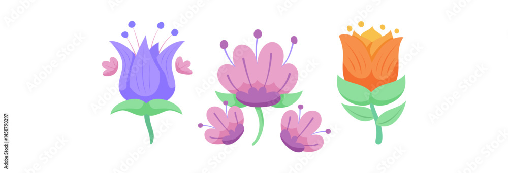 Fototapeta premium Set Flower Beauty