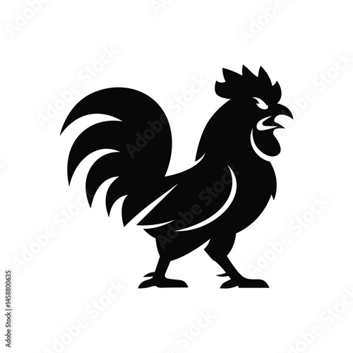 Rooster vector