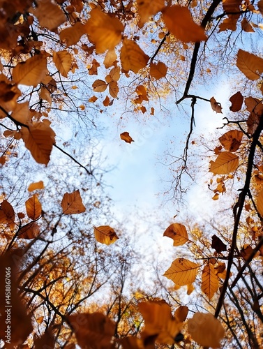 Autumn leaves falling from branches against a bright blue sky, viewed from below, showcasing the vibrant orange and brown hues of the foliage. : Generative AI