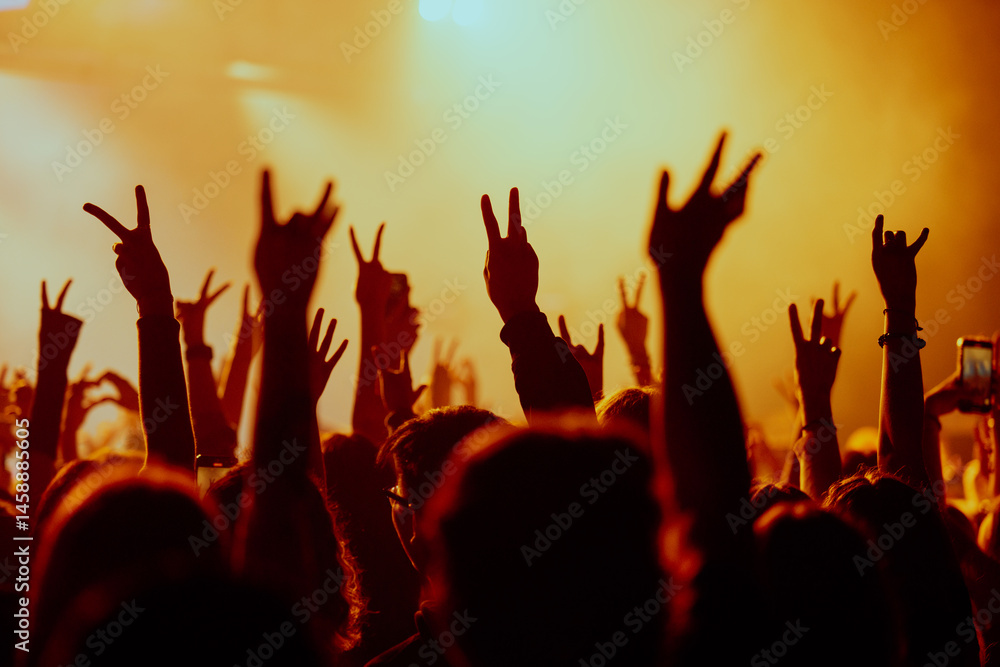Fototapeta premium crowd at concert