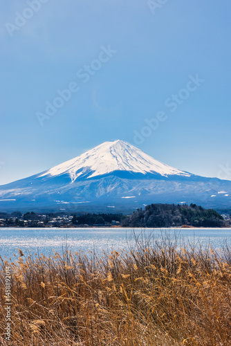 Tokyo Japan : 9 March 2024. Fuji mountain in Japan Beautiful tourist attractions that show the culture, traditions, visitors can visit every day. In the city of Tokyo.