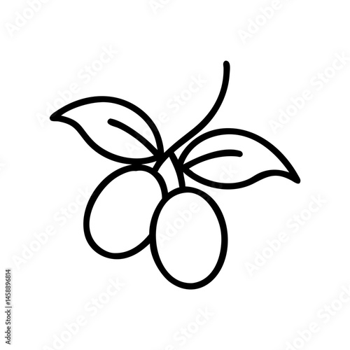 Sea buckthorn illustration in black and white line art style
