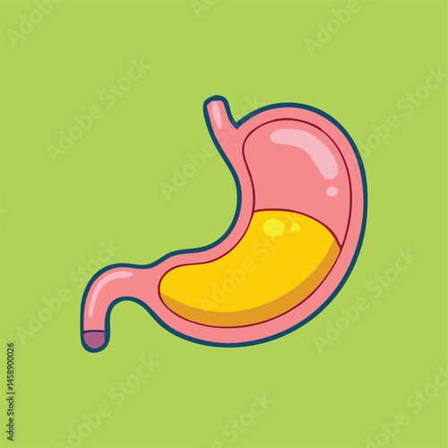 Pink stomach displaying bright yellow gastric fluid is outlined with dark blue border