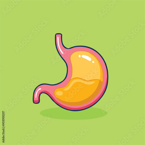 Human stomach illustration against a light green backdrop shows a healthy, functional digestive organ