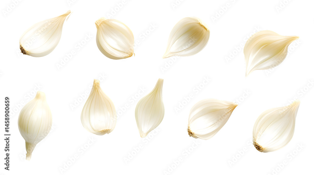 Fototapeta premium Fresh Onion Isolated on White Background for Culinary Designs