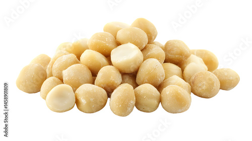 Fresh Raw Macadamia Nuts Isolated on White Background for Cooking and Snacking