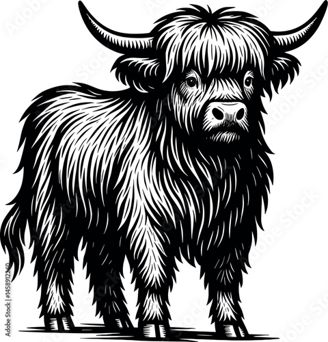 Highland Cow vector black silhouette print design