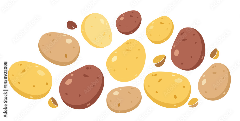 Fototapeta premium Illustration collection of colorful potatoes arranged and artistically cut open.